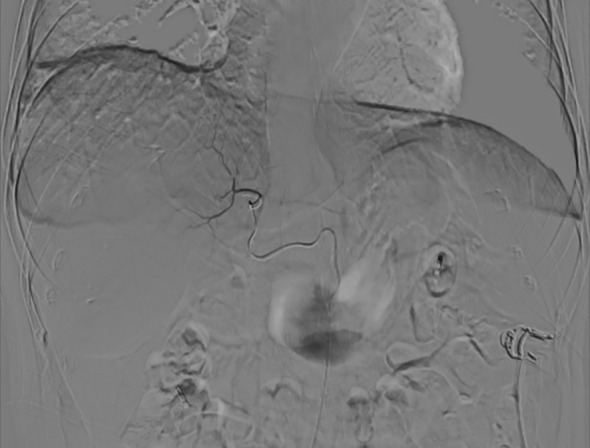 Figure 8