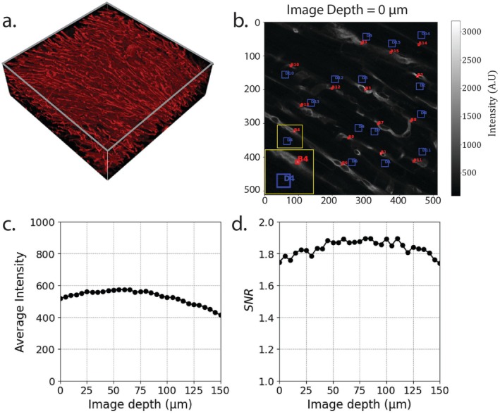 FIGURE 2