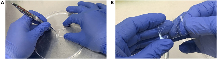 Figure 13