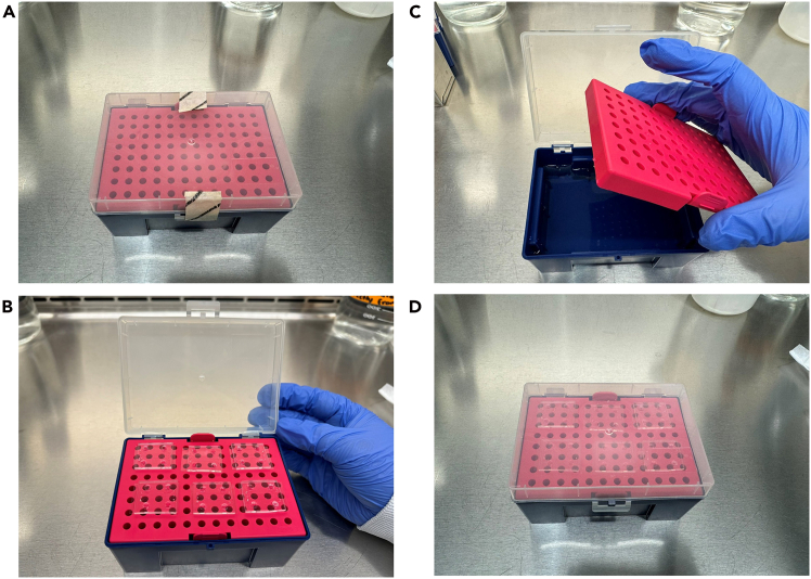 Figure 22