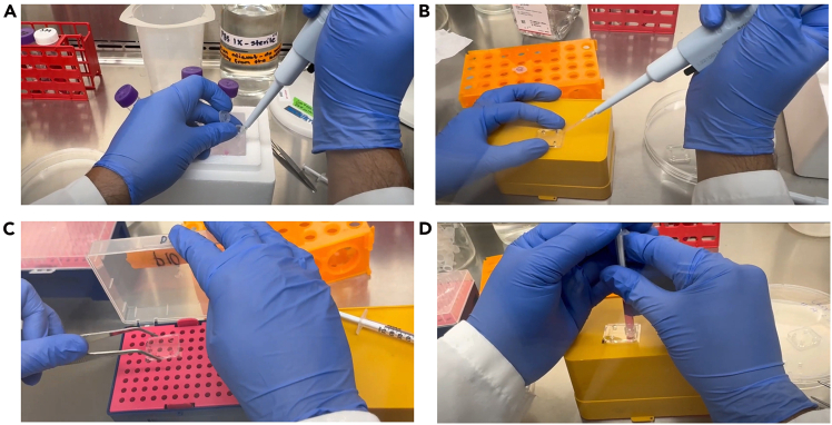 Figure 23