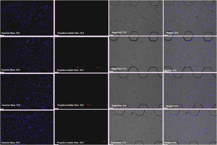 Figure 24