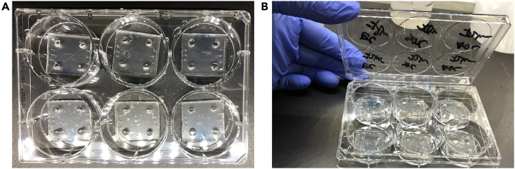 Figure 25