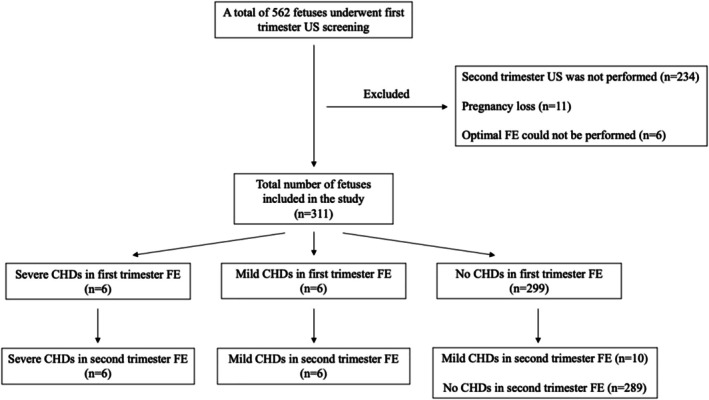 FIGURE 1