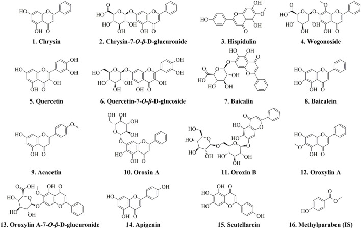 FIGURE 1