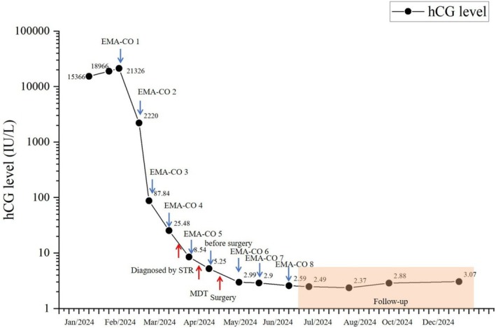 FIGURE 3
