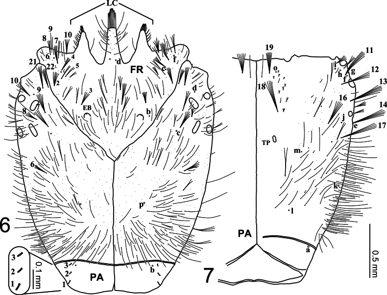 Figures 6, 7
