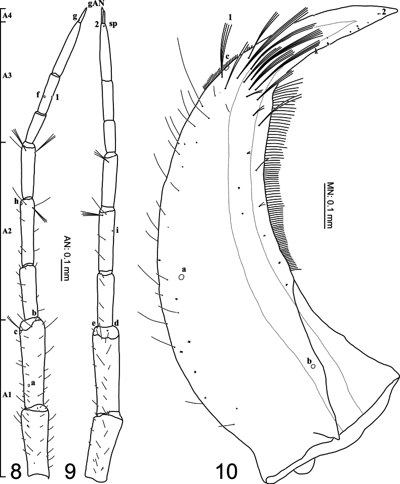 Figures 8–10