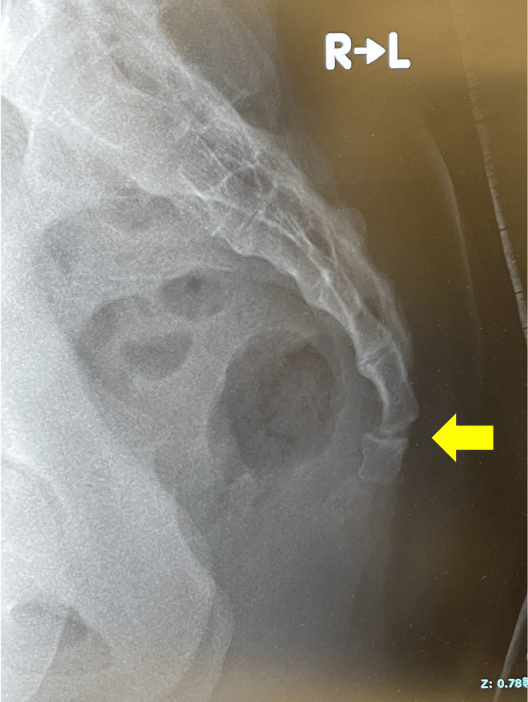 Figure 7