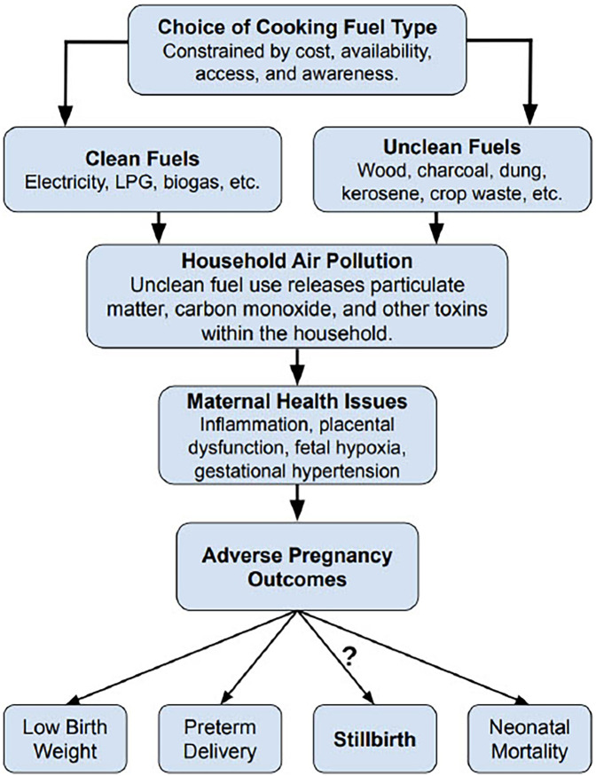 Figure 1