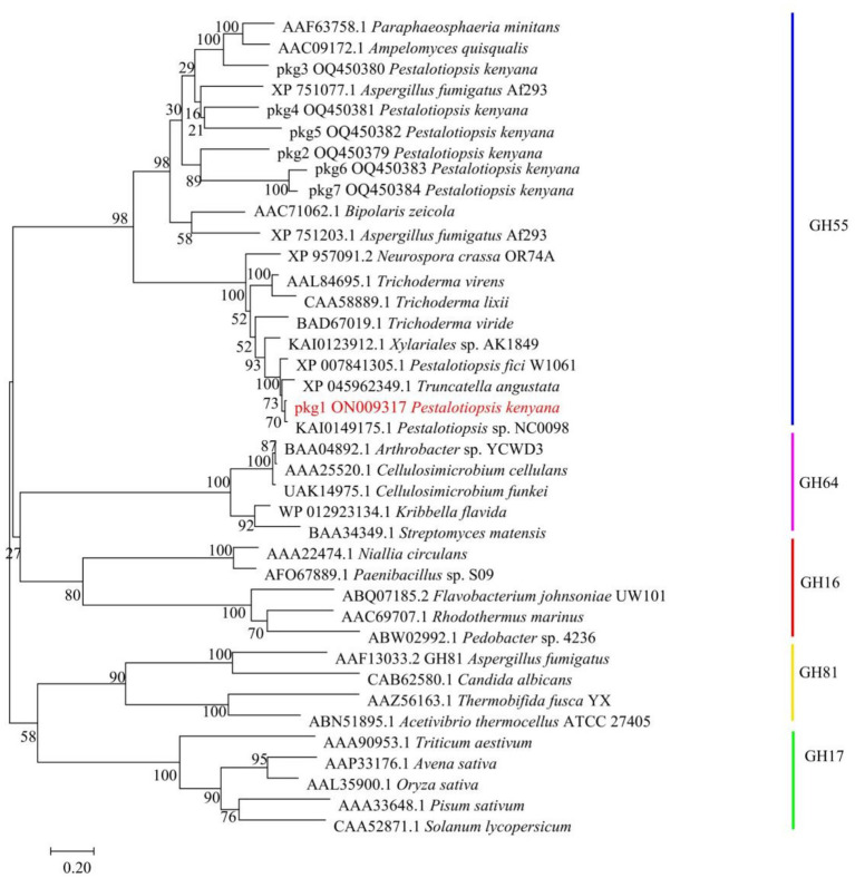 Figure 4