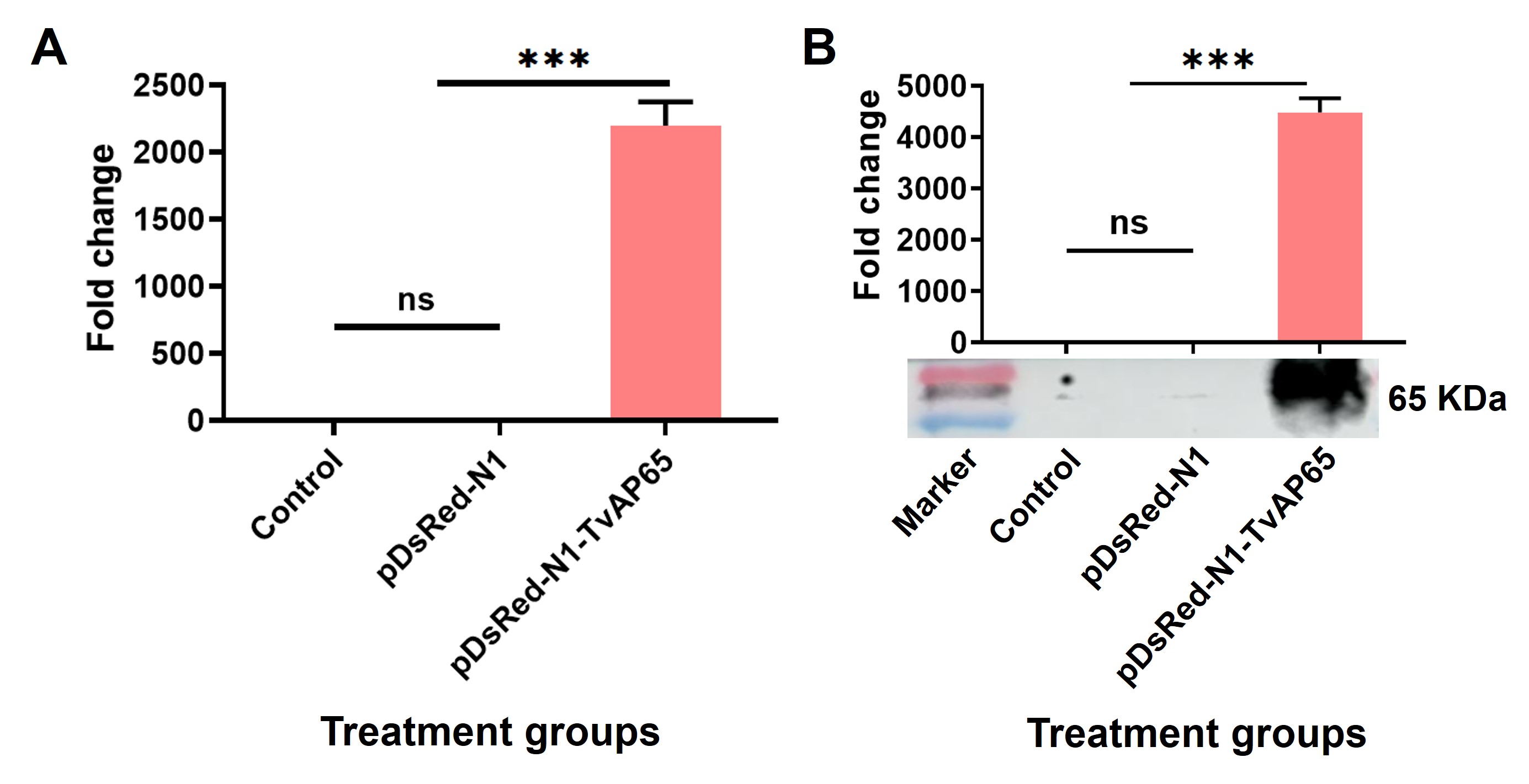 Figure 16