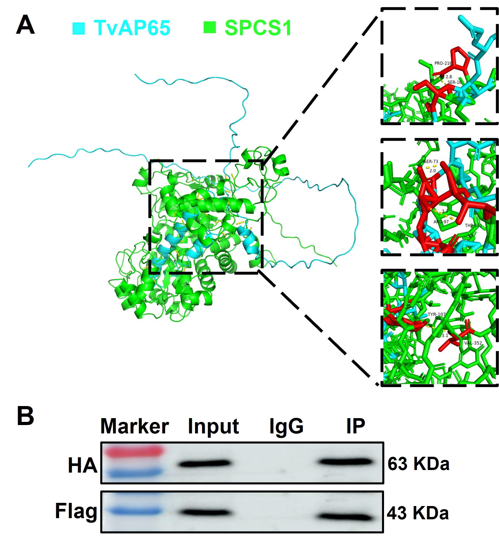 Figure 19