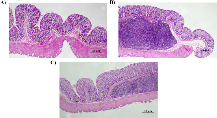 Fig 2