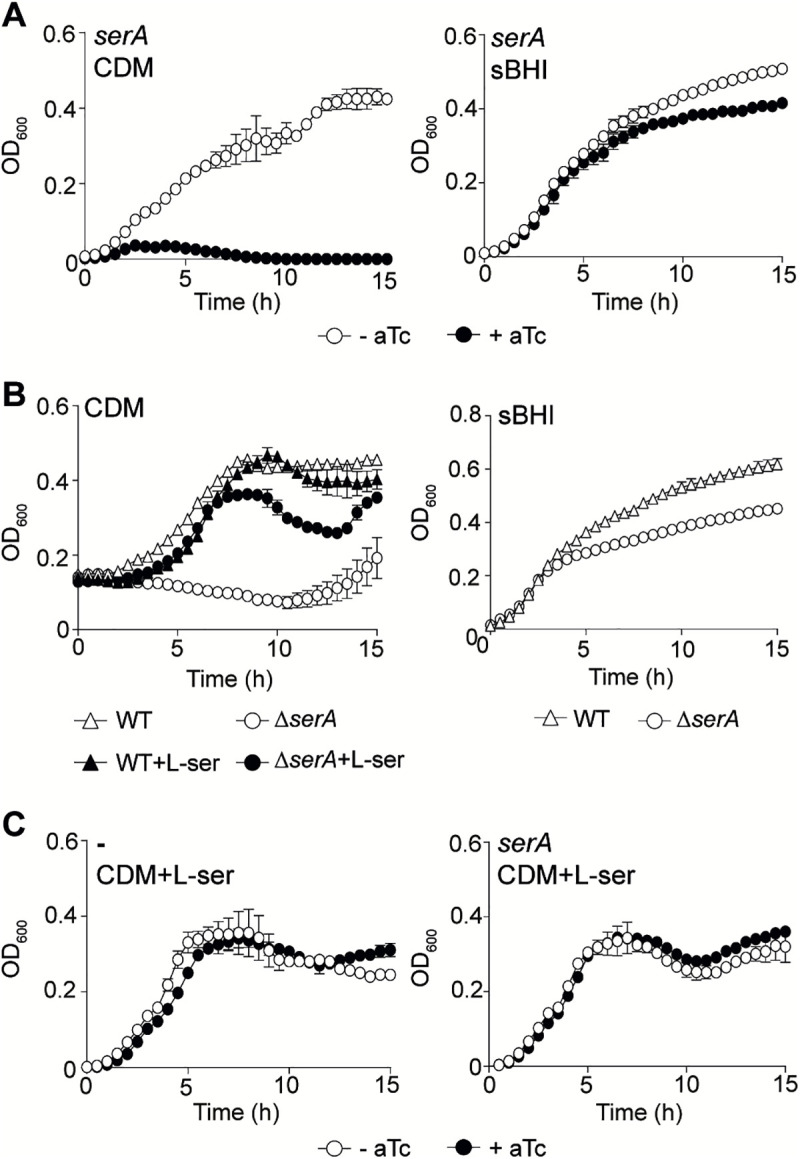 Fig 6