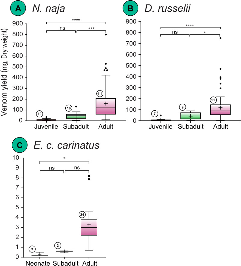Fig 5