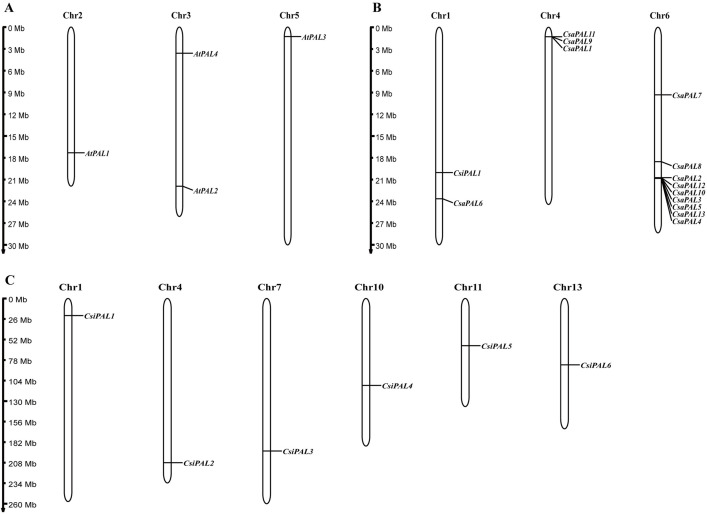 Fig 5