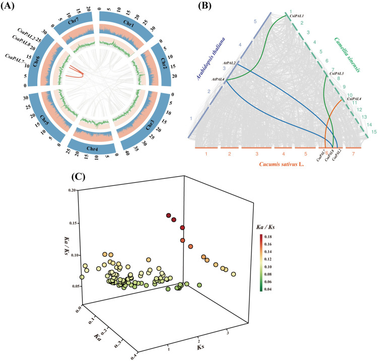 Fig 8