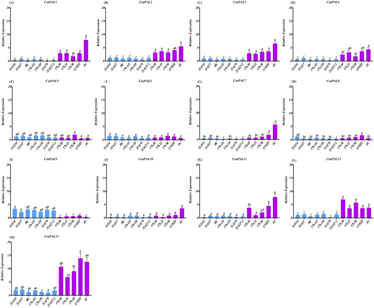 Fig 10