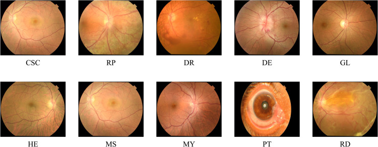 Fig 3
