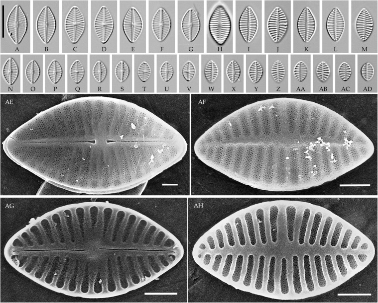 Fig 9
