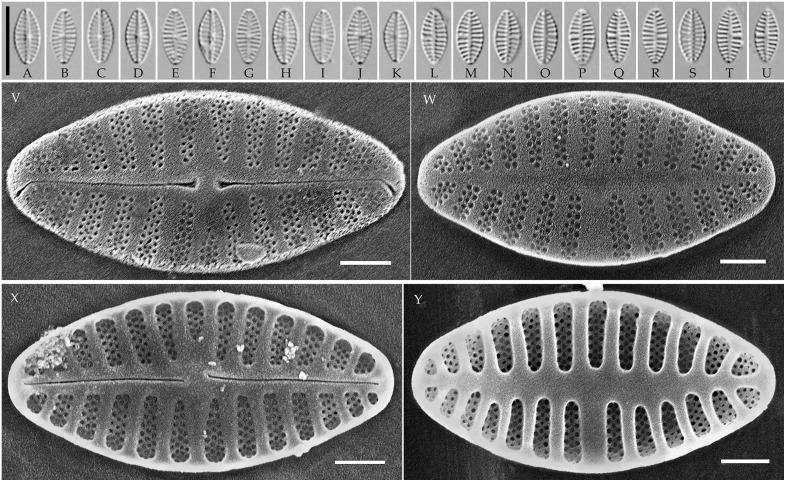 Fig 11