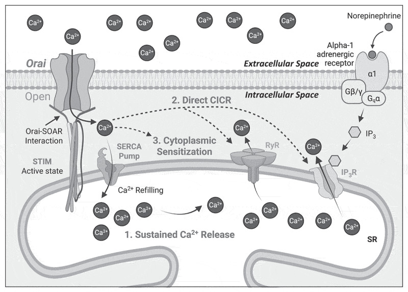 Figure 9