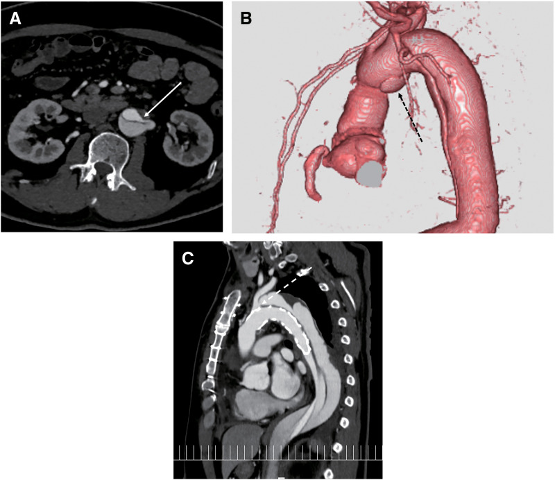 Fig. 3