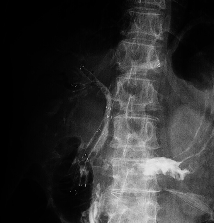 Fig. 5