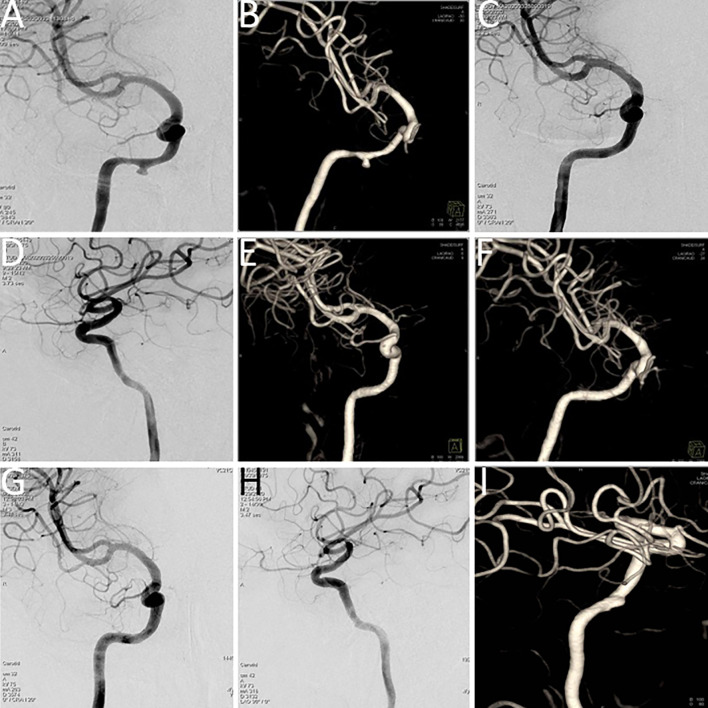 Figure 3