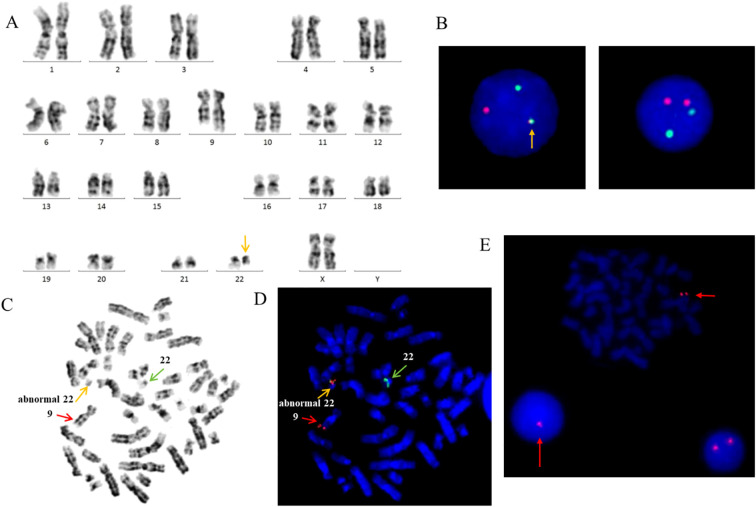Figure 1