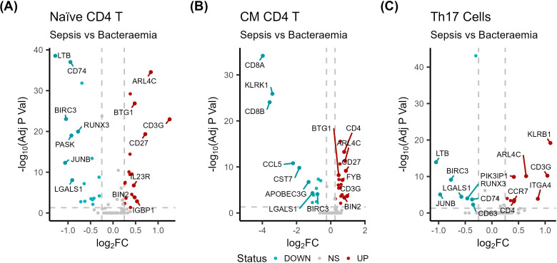 Figure 5