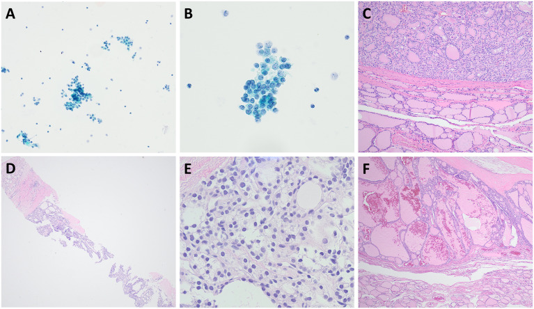 Figure 2