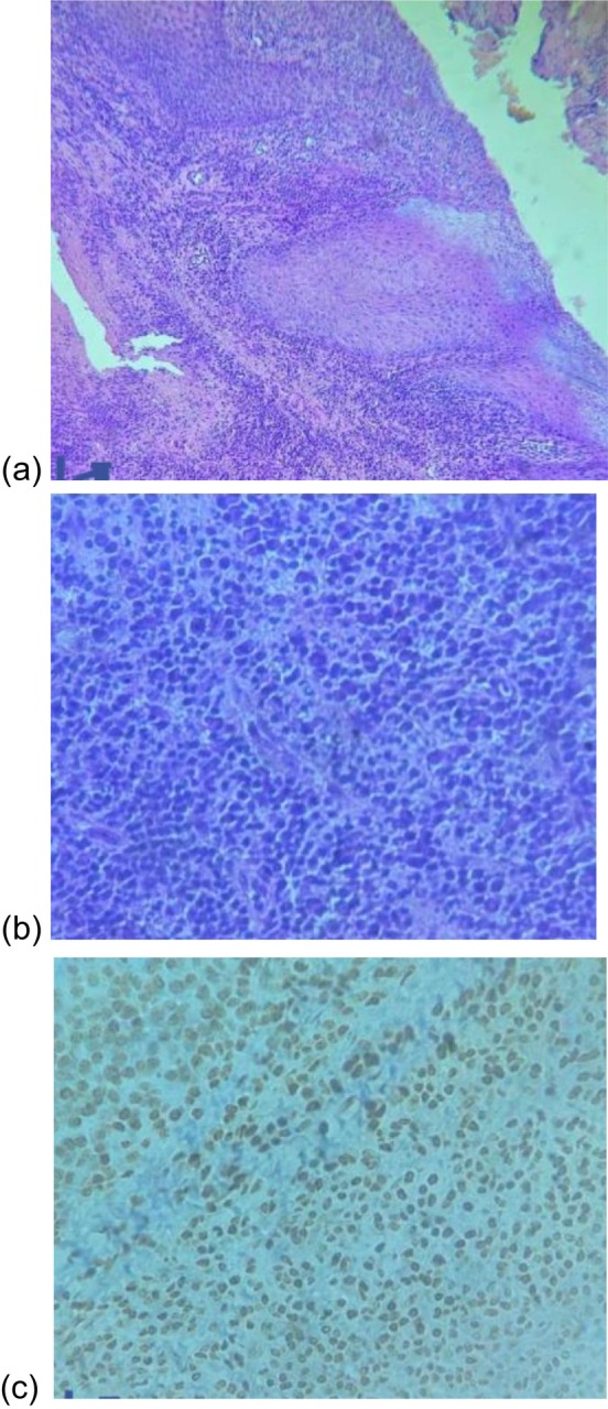 FIGURE 3
