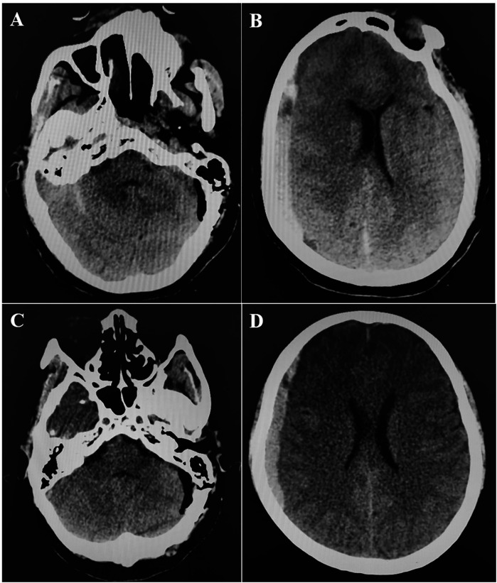 Figure 1