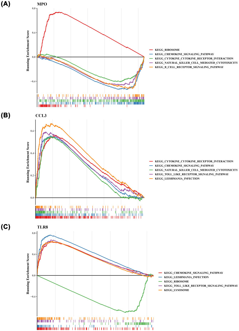 Figure 6