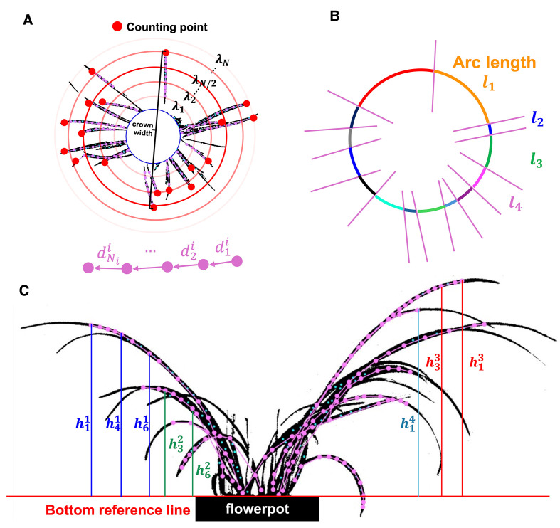 Figure 5