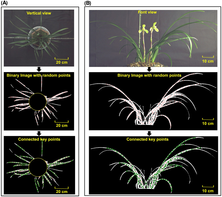 Figure 6