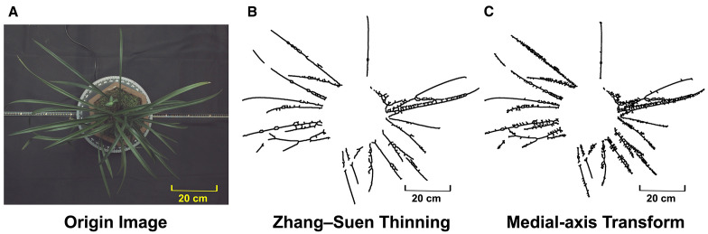 Figure 8