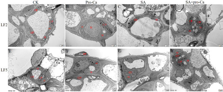 Figure 2
