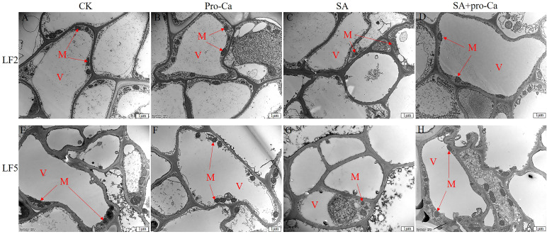 Figure 3