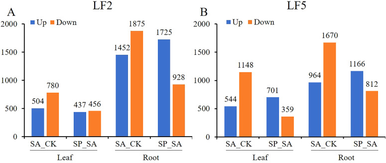 Figure 7
