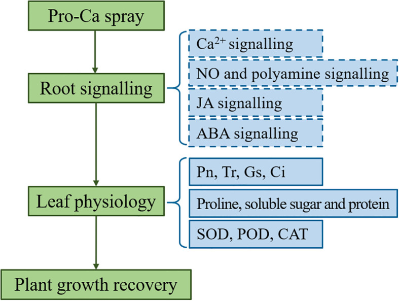 Figure 10