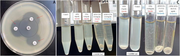 Figure 1