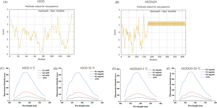 FIGURE 3