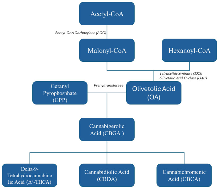 Figure 1
