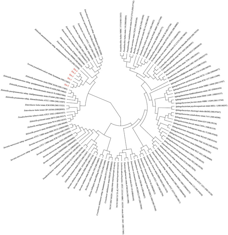 Figure 6