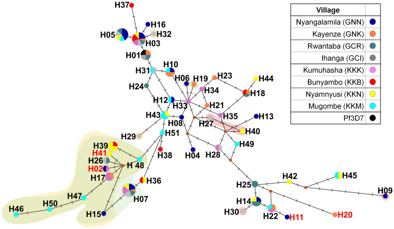 Figure 3