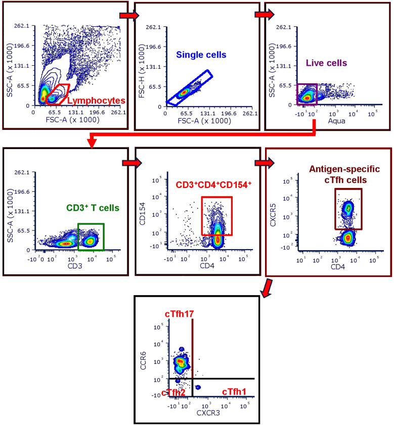 Figure 1