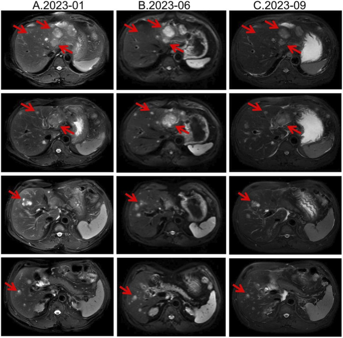 FIGURE 2